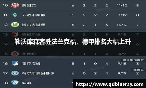 3377体育官网
