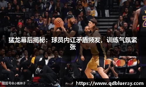 3377体育官网