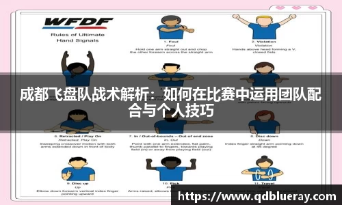 3377体育官网