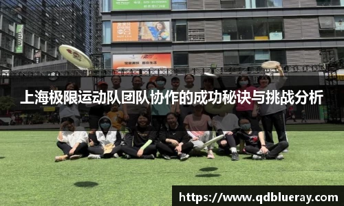 3377体育