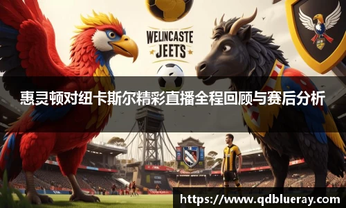 惠灵顿对纽卡斯尔精彩直播全程回顾与赛后分析