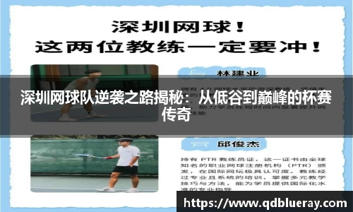 3377体育官网