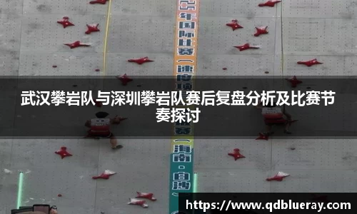 3377体育
