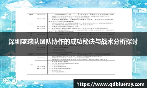 3377体育官网
